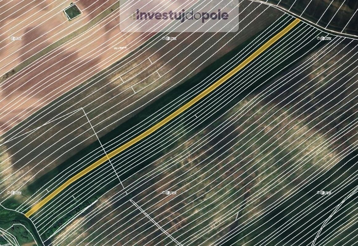 Prodej zemědělský pozemek - Čejkovice, 696 15, 6 540 m²