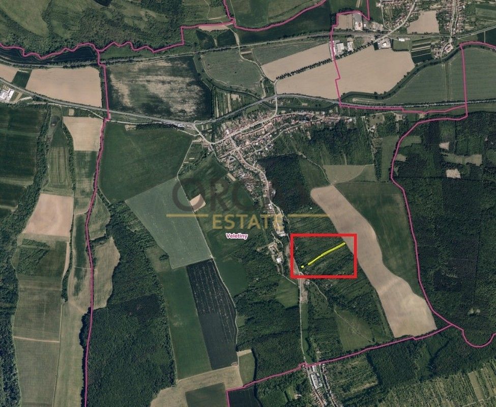 Zahrada · Veletiny, okres Uherské Hradiště, Zlínský kraj - 3