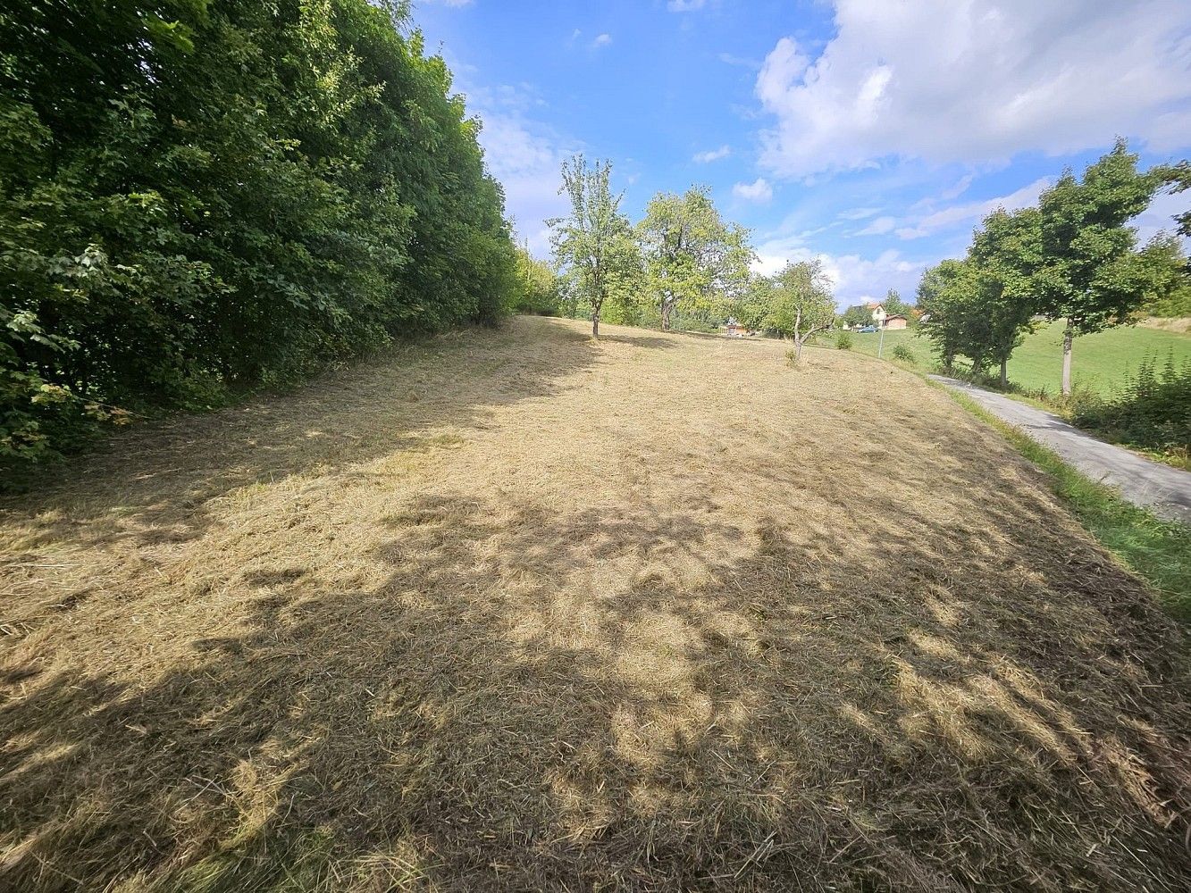 Zemědělské pozemky, Boseň - Zásadka, okres Mladá Boleslav, Středočeský kraj - 2