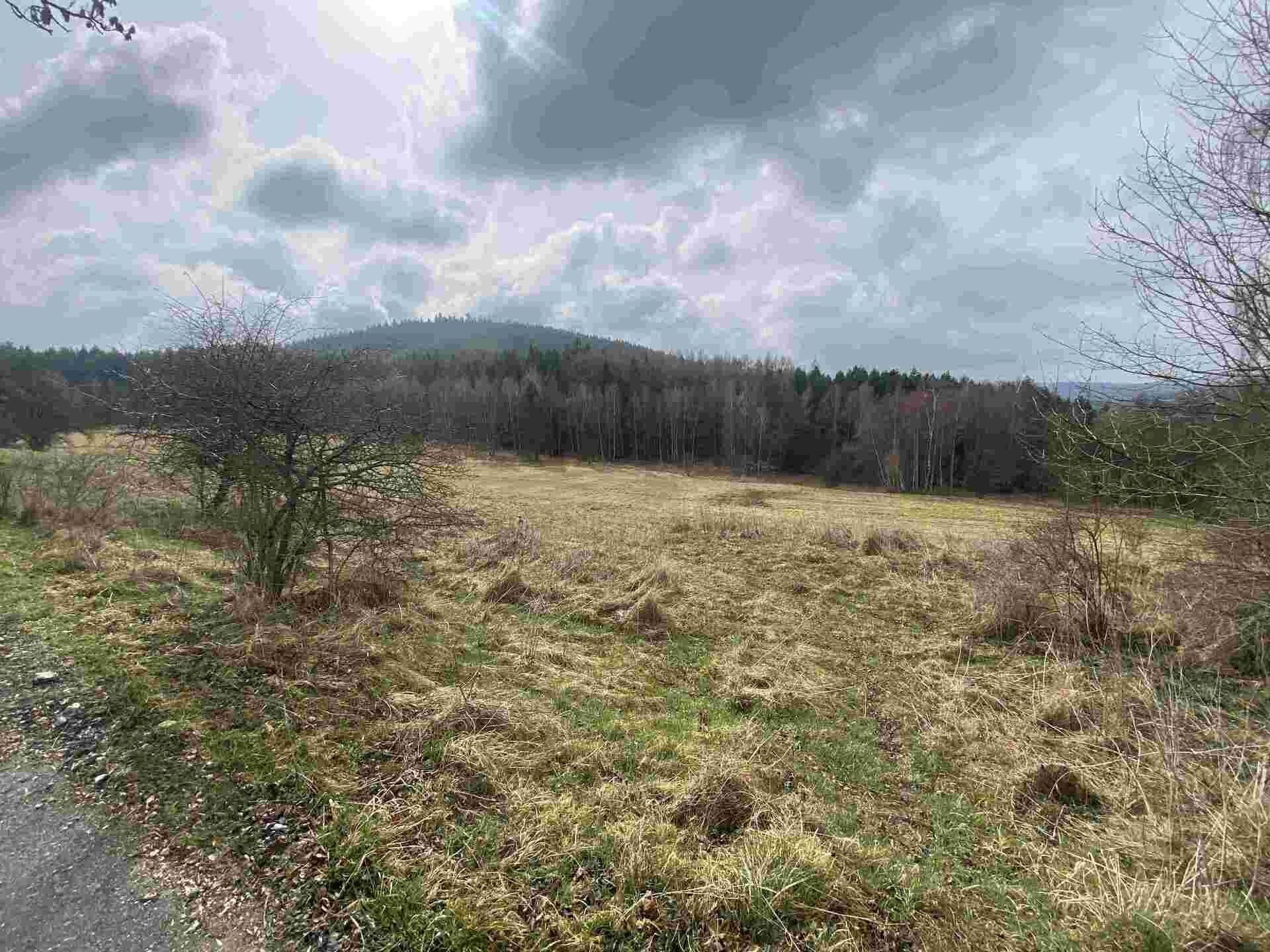 Prodej zemědělský pozemek - Vyšší Brod Hrudkov, 8 071 m² - 1