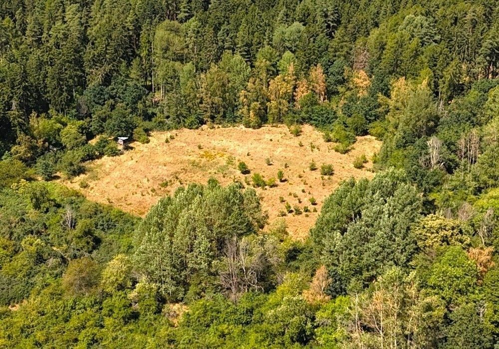 Prodej pozemek - Libá - 2