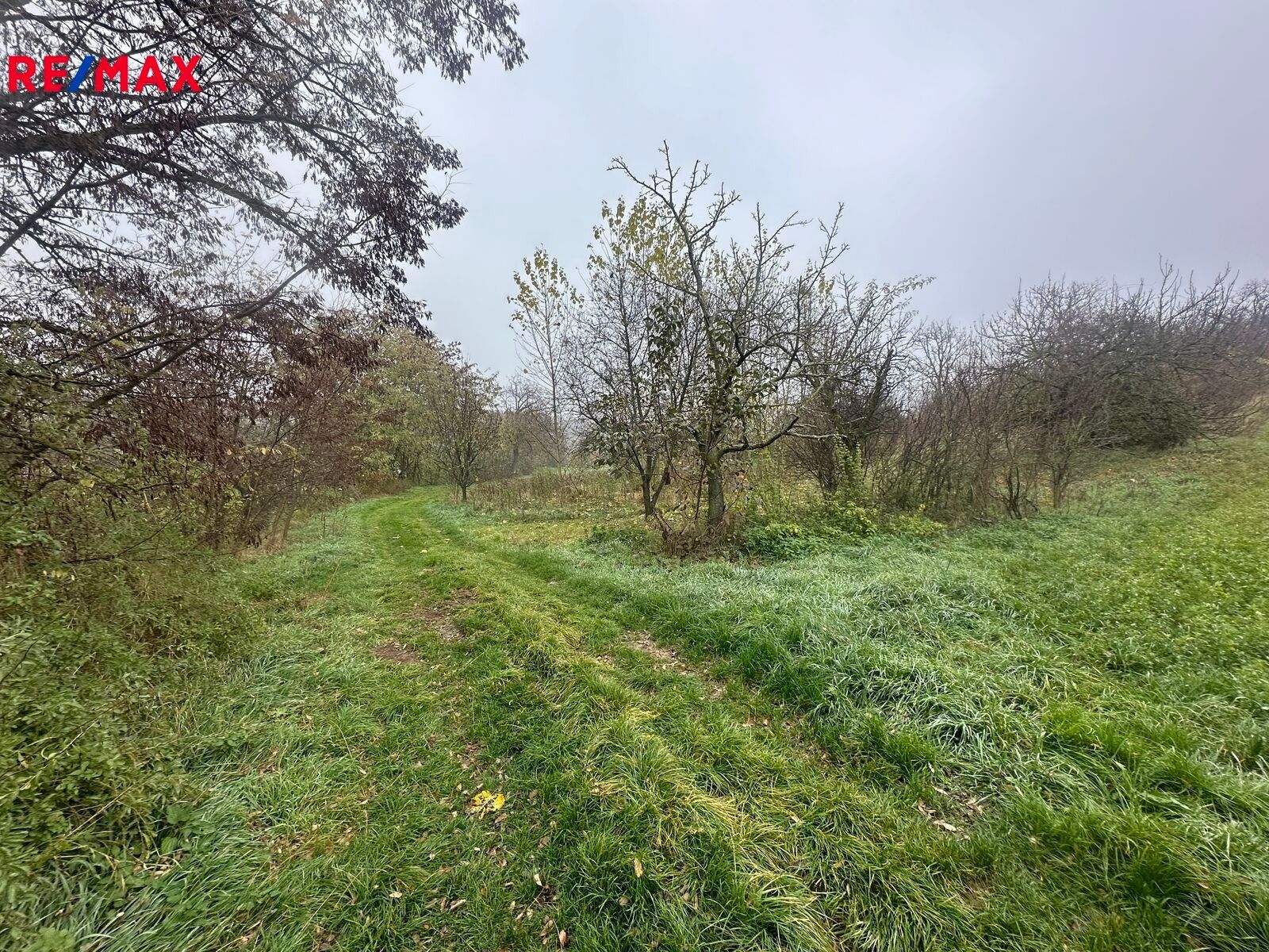 Prodej zemědělský pozemek - Nížkovice, 1 m²