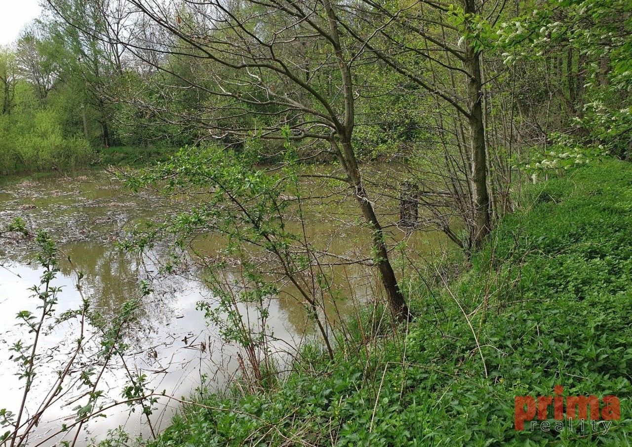 Prodej rybník - Beztahov, Votice, 7 028 m²