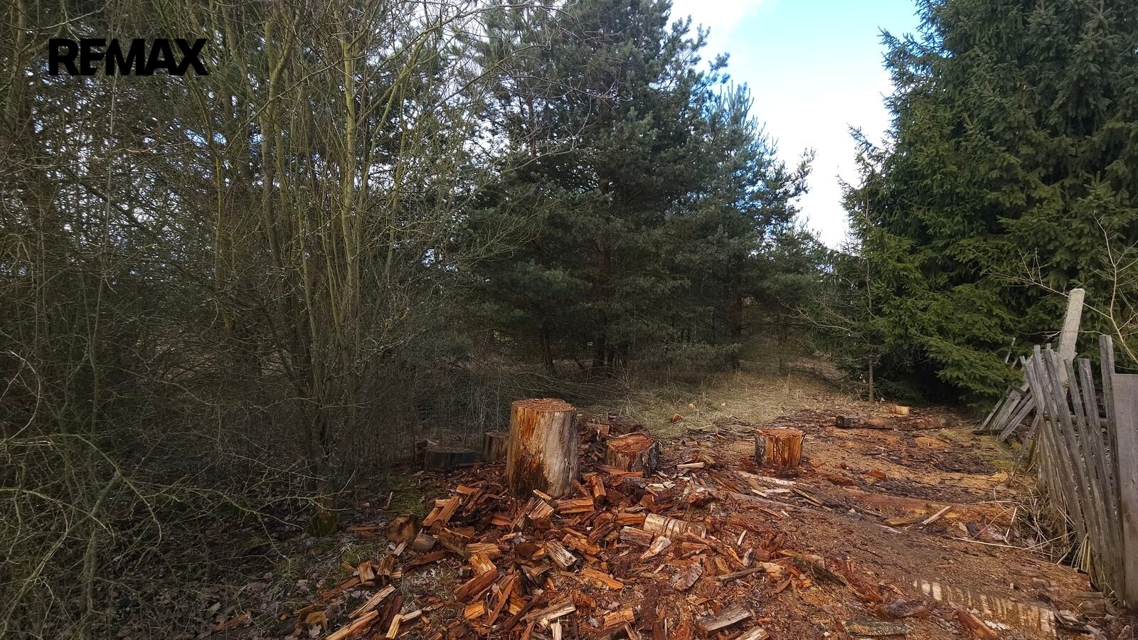 Prodej pozemek pro bydlení - Olešná, 654 m² - 5