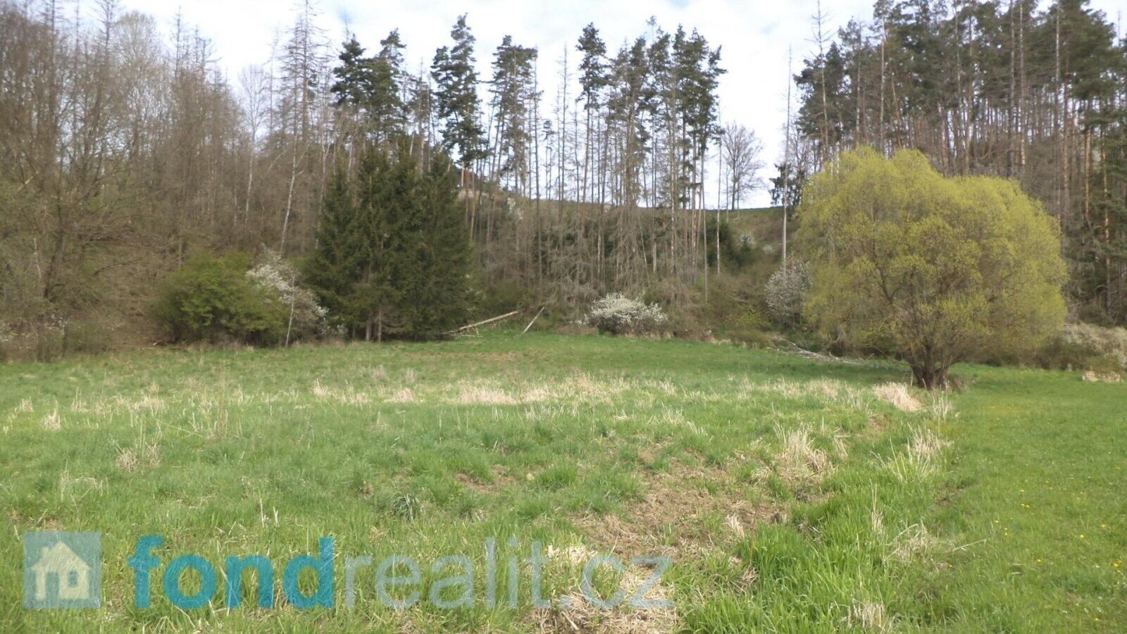 Pozemek · 2 759 m² · Dešná Dančovice - 4