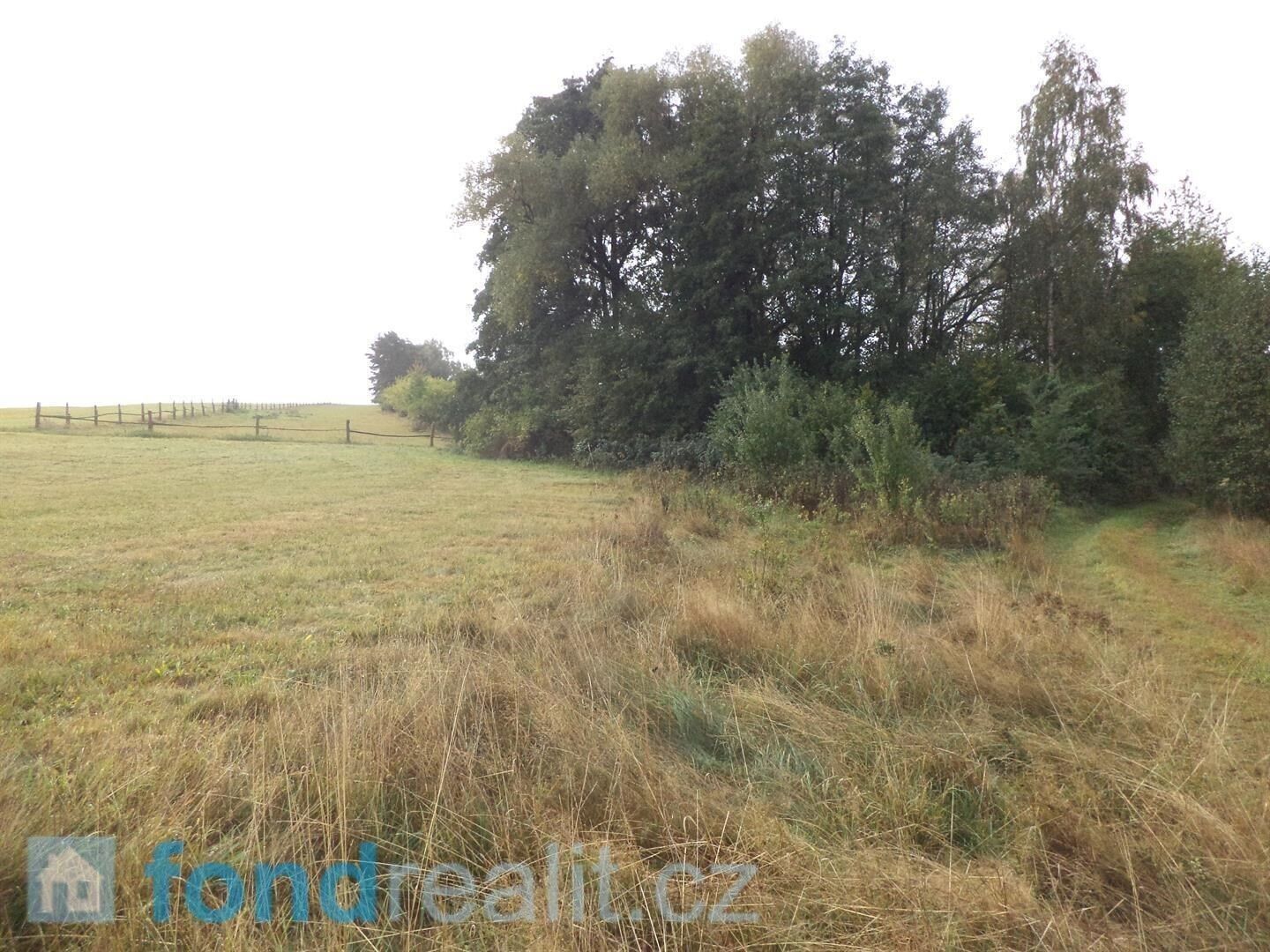 Prodej pozemek - Malíkov nad Nežárkou, Horní Pěna, 1 m²