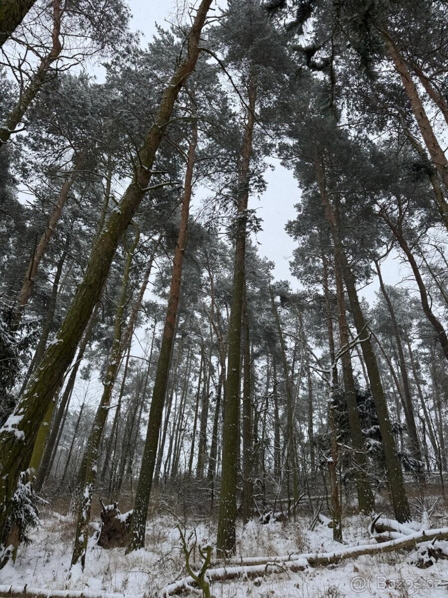 Pozemek pro bydlení · Horažďovice, 341 01 - 3