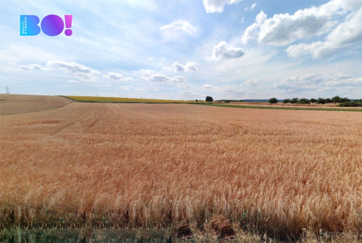 Prodej pozemek pro bydlení - Loděnice u Moravského Krumlova, 671 75