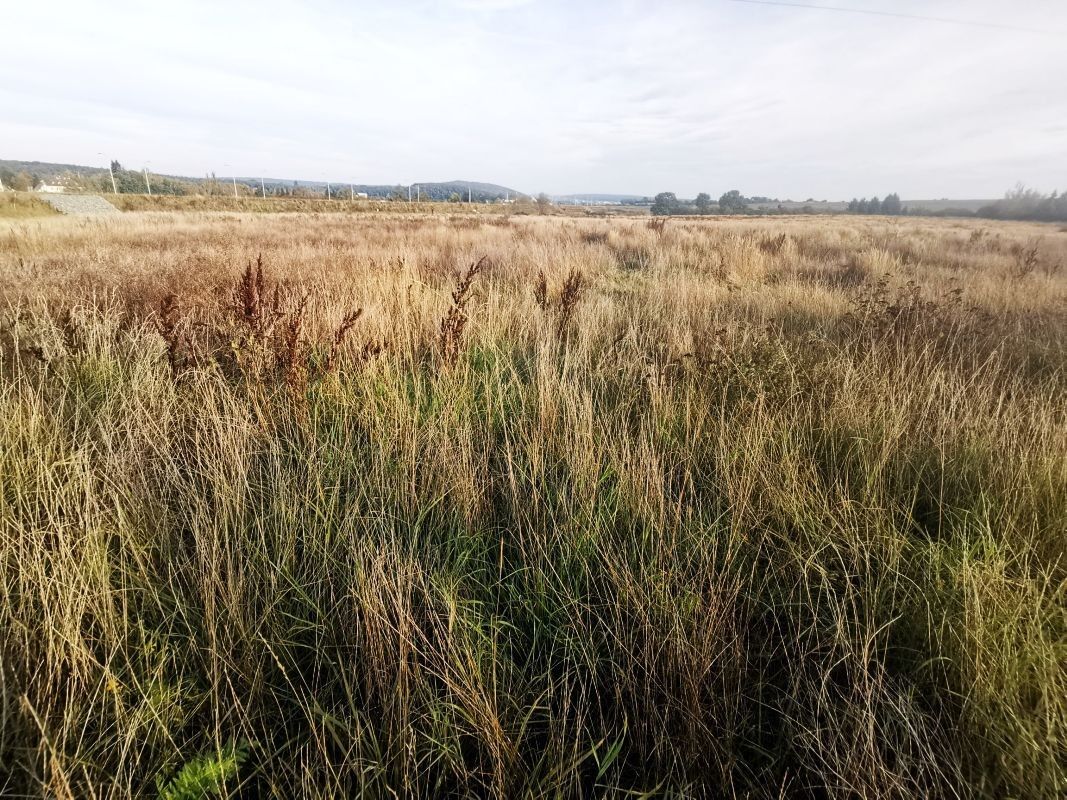Pozemek pro bydlení · 1 513 m² · Plzeň - 4