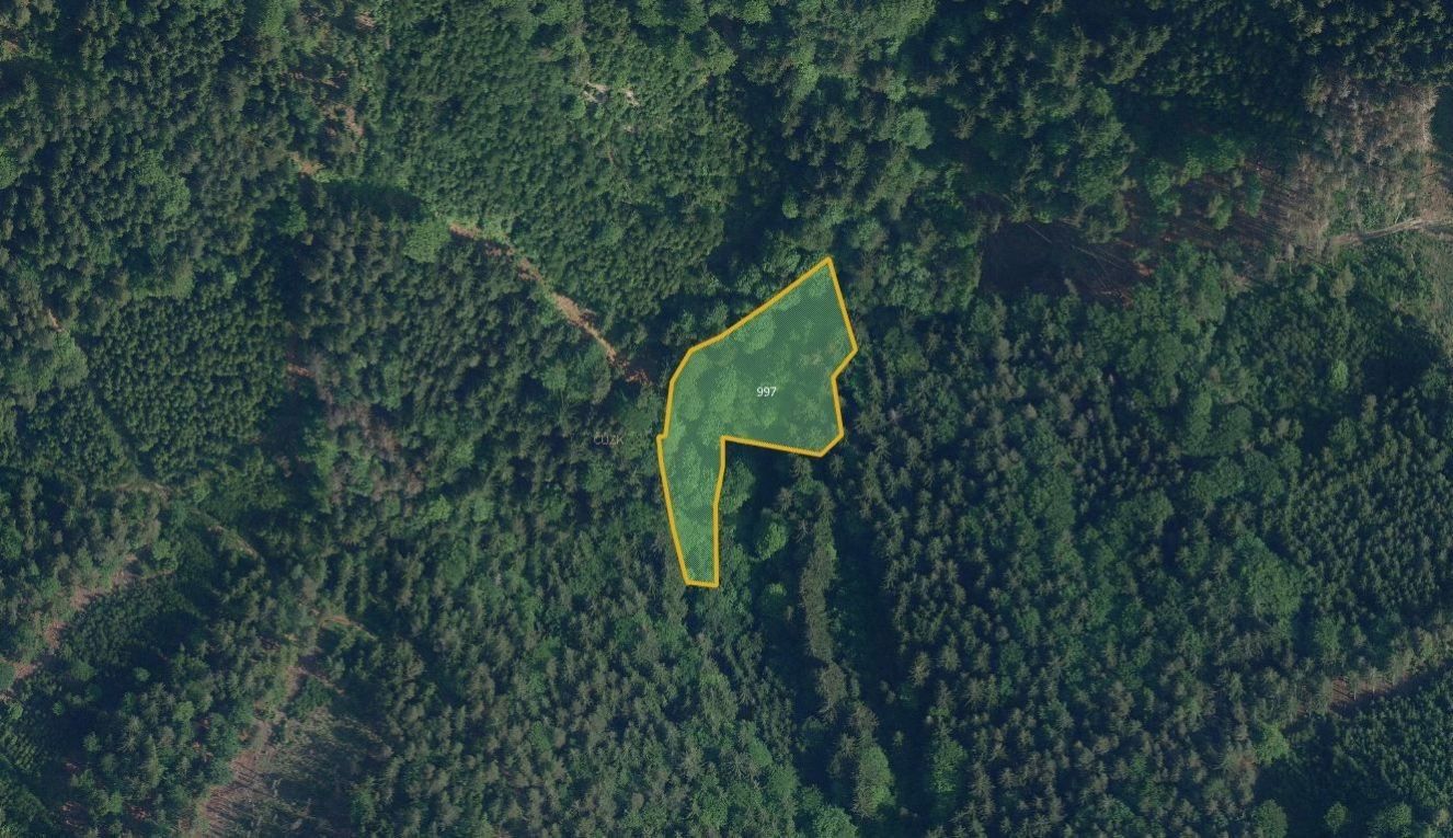 Prodej zemědělský pozemek - Jílové u Držkova