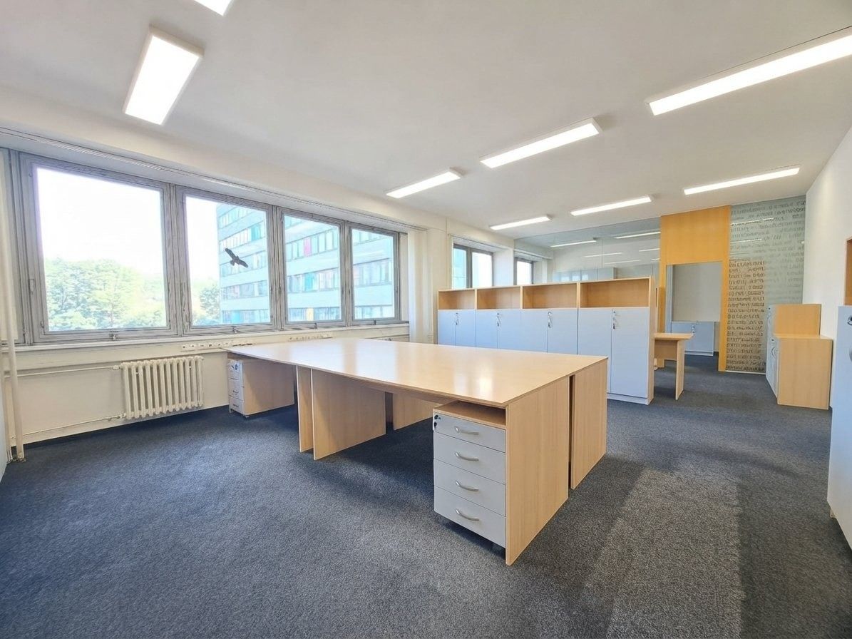 Kancelář · 321 m² · Plzeňská, Praha - 3