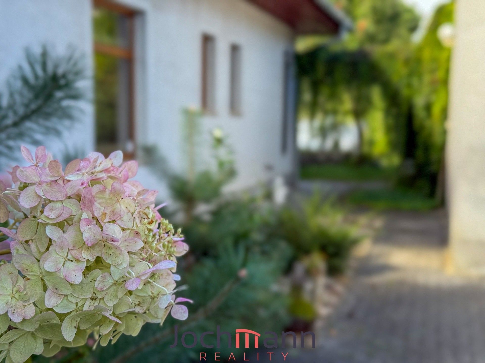 Rodinný dům · 320 m² · Moravany - 4