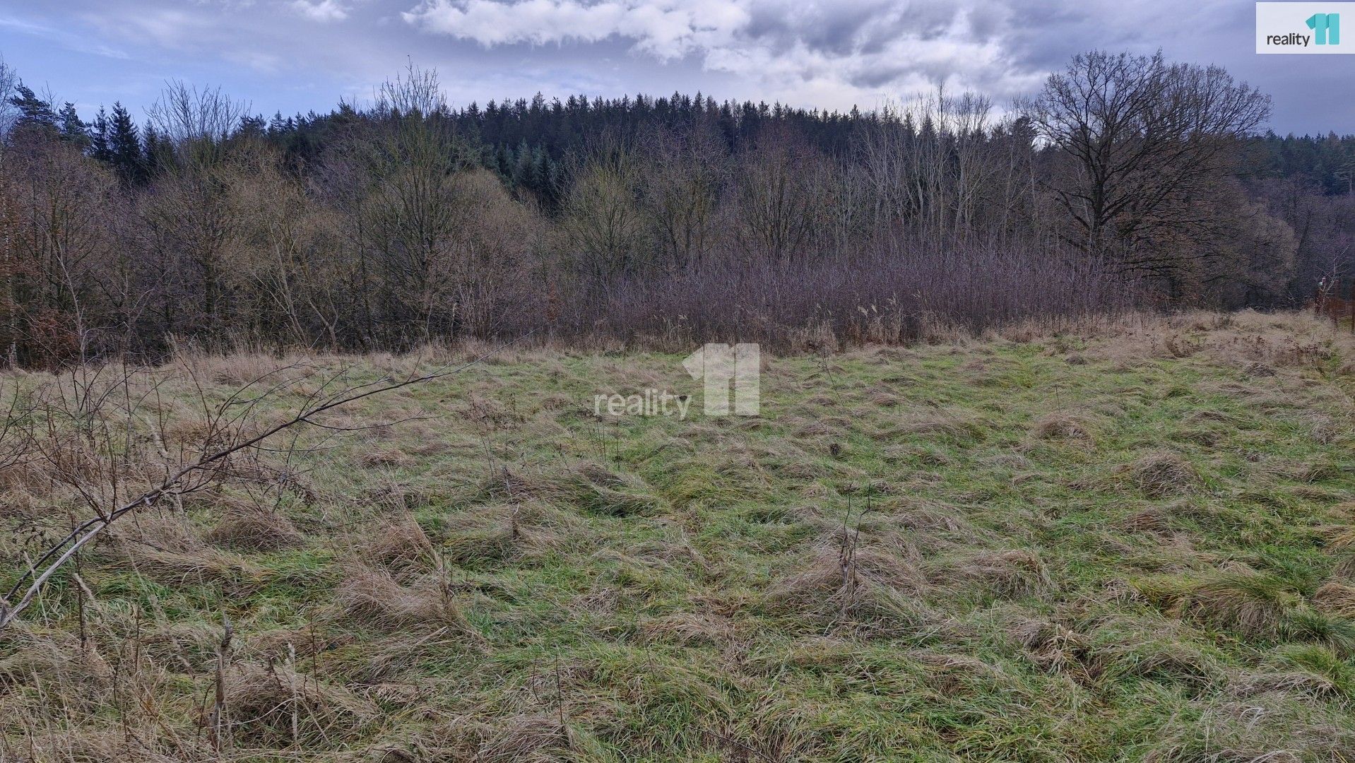 Prodej pozemek pro bydlení - Zlatá, Kynšperk nad Ohří, 2 983 m² - 5