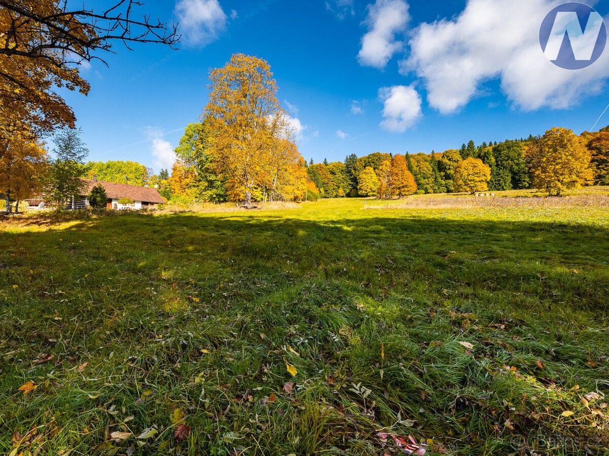 Prodej pozemek pro bydlení - Volary, 384 51