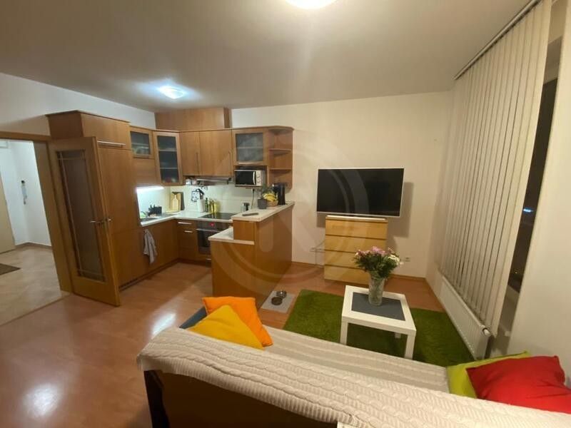 Pronájem byt - České Budějovice, 370 05