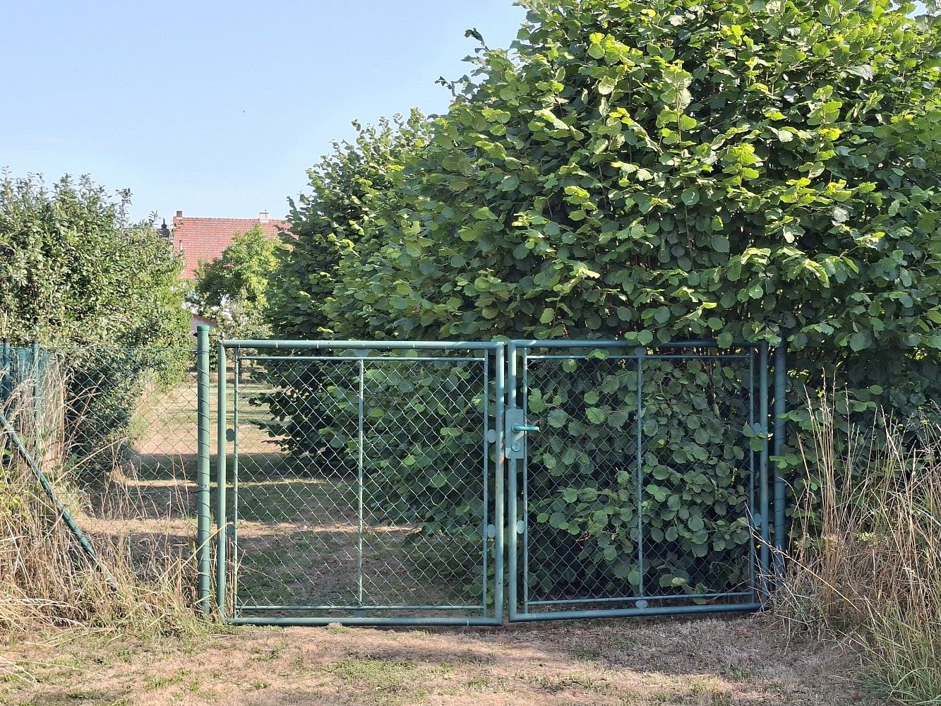 Zahrada · Troubky, okres Přerov, Olomoucký kraj - 4