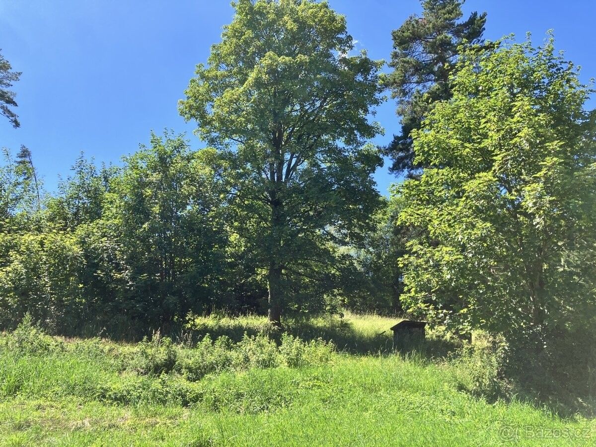 Pozemek pro bydlení · Čkyně, 384 81 - 4