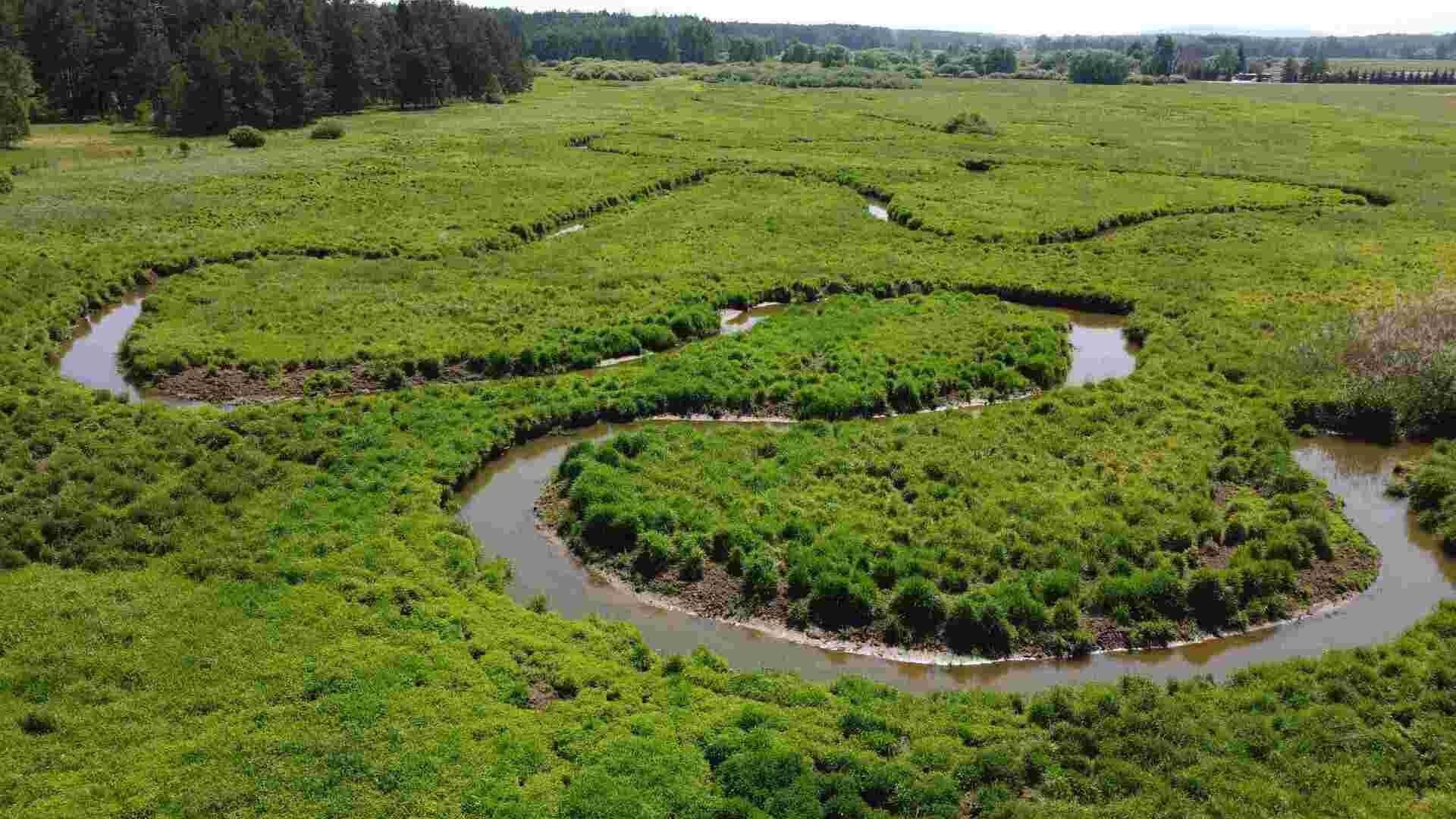 Prodej pozemek - Jílovice, 20 535 m² - 5