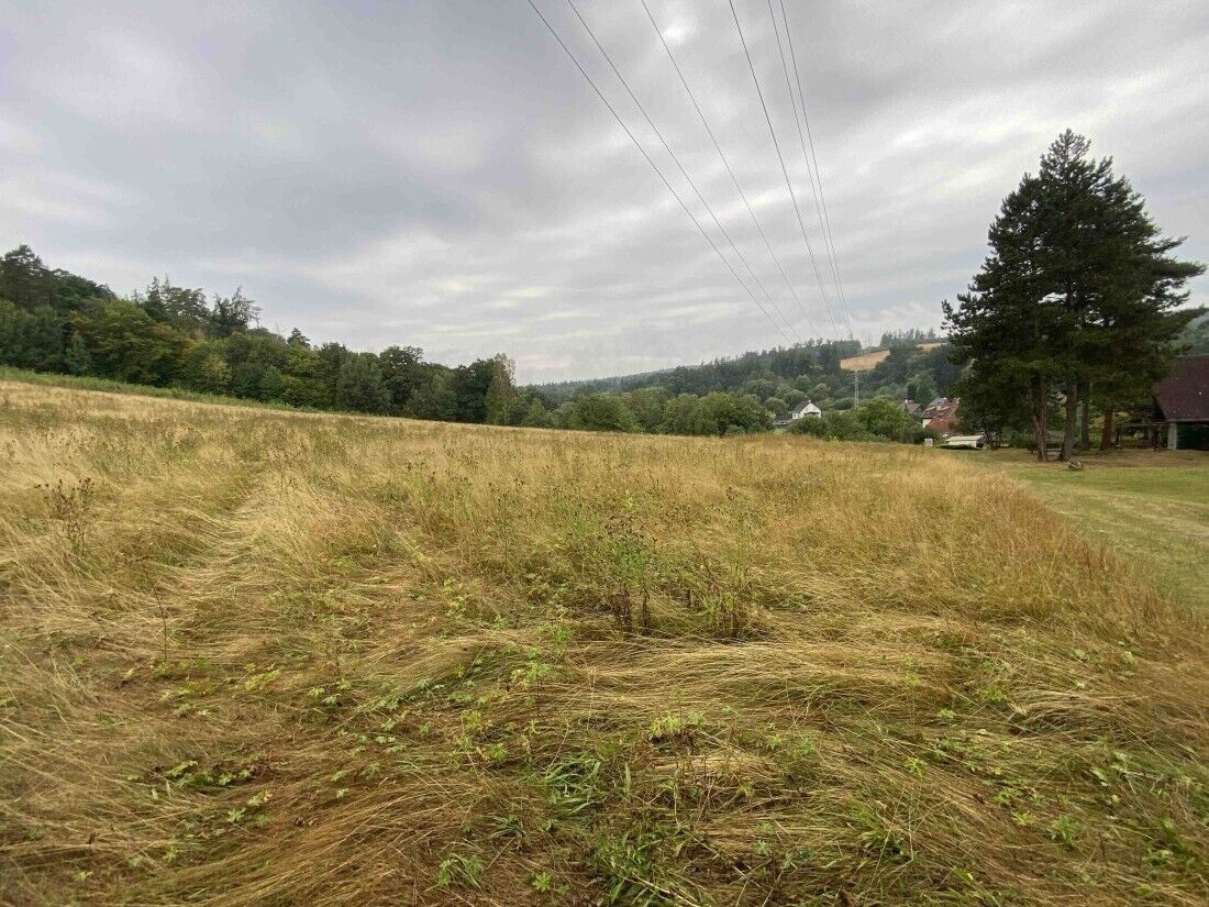 Louka · 1 160 m² · Brumovice Úblo - 4
