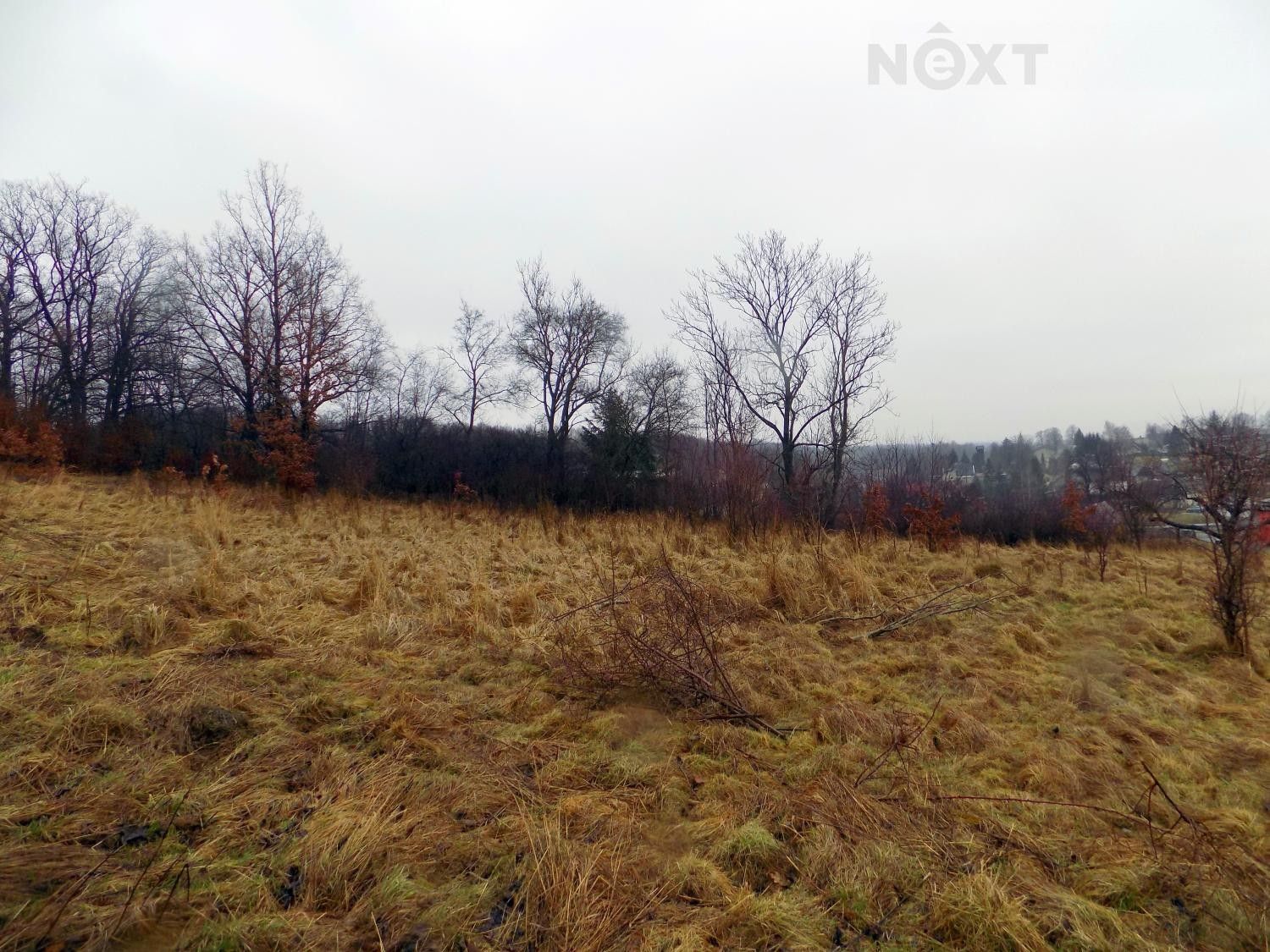 Prodej louka - Krasíkov