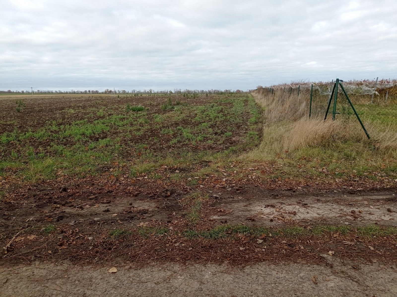 Prodej pozemek - Sedlec, 25 m²