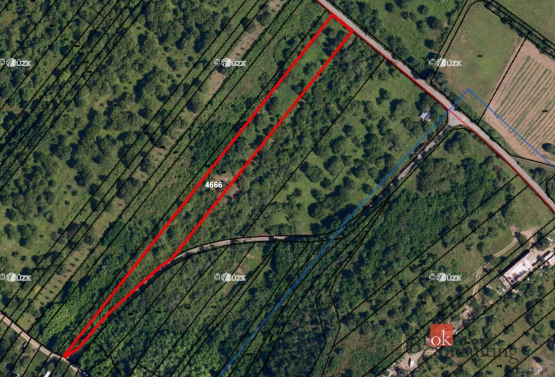 Zahrady, Stráně, Dolní Kounice, 4 535 m² - 1