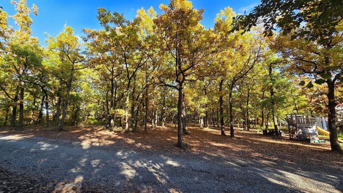 Pozemky pro bydlení, Zvole u Prahy, 252 45