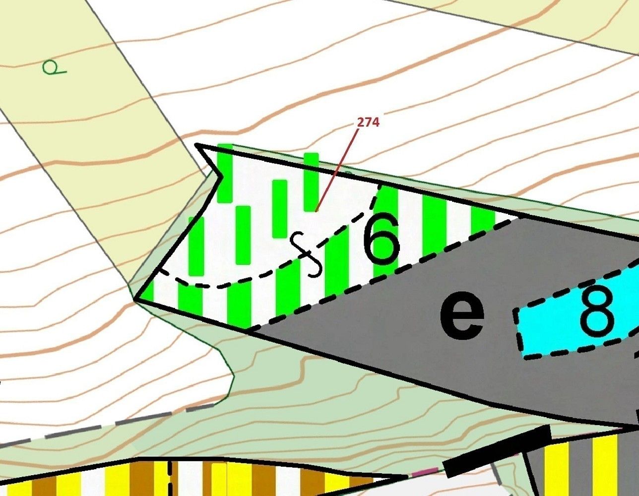 Les · Spomyšl, okres Mělník, Středočeský kraj - 3