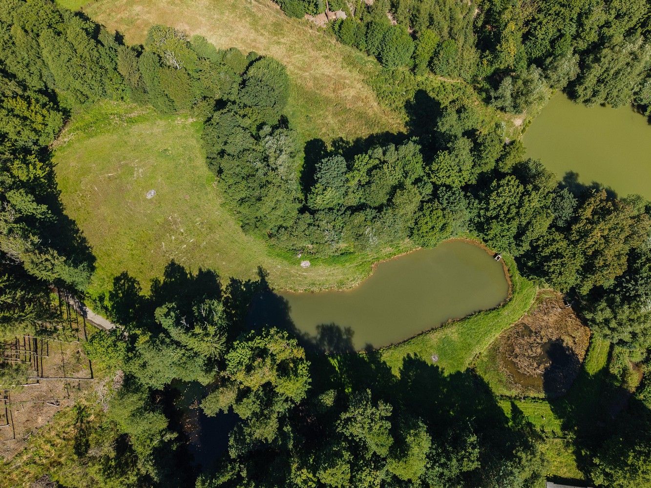 Rybník · Zderaz, okres Chrudim, Pardubický kraj - 4