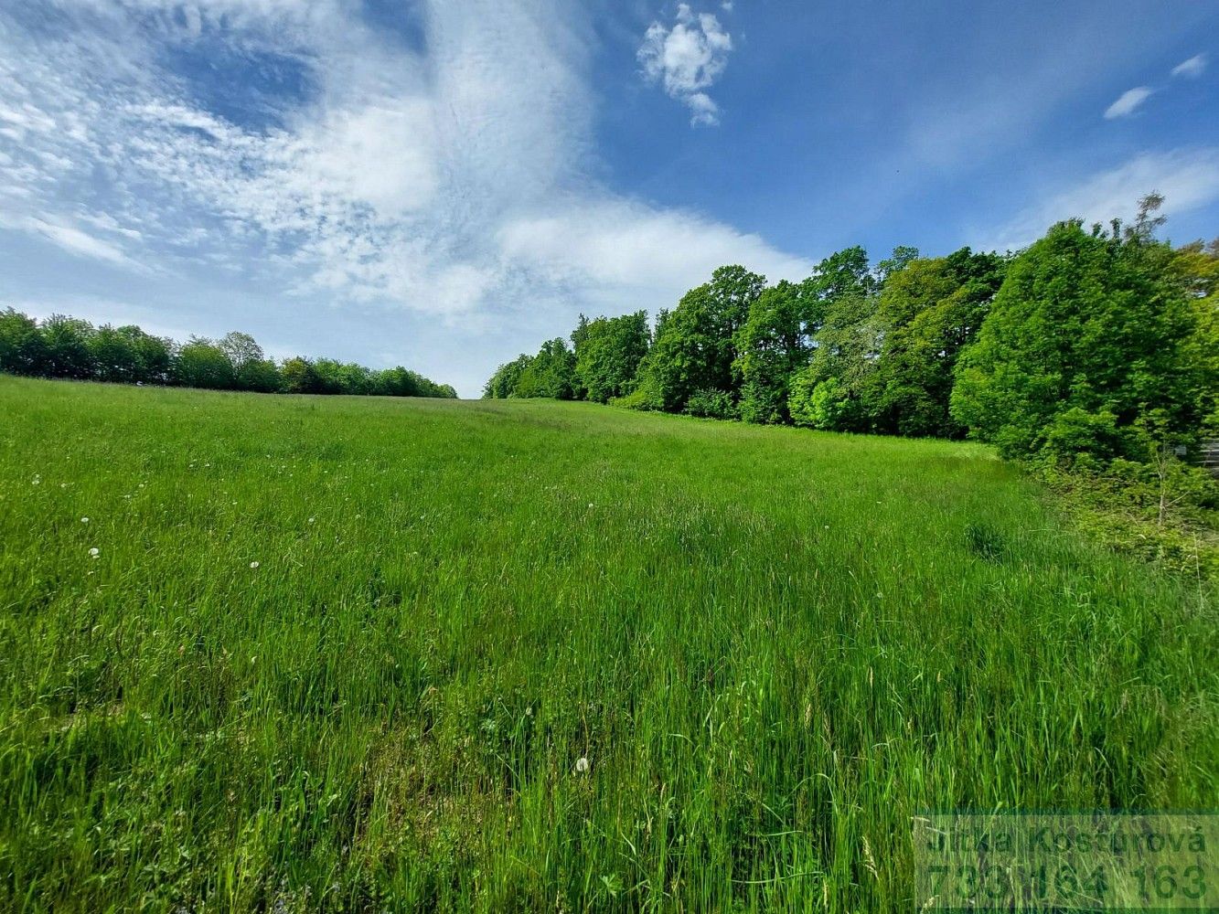 Prodej pozemek pro bydlení - Sosnová, okres Opava, Moravskoslezský kraj - 5