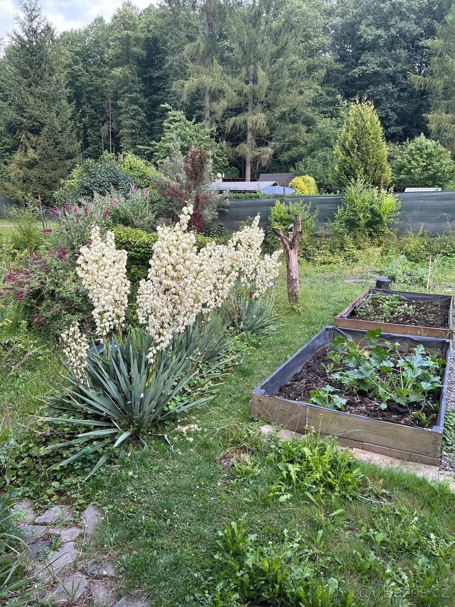 Zahrady, Karviná, 734 01 - 1