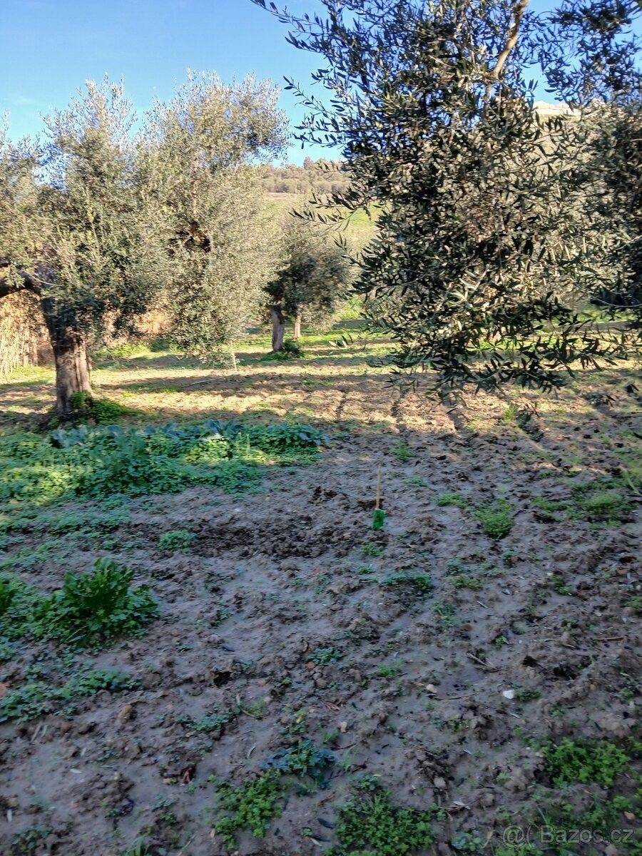 Pronájem byt - Brno, 616 00