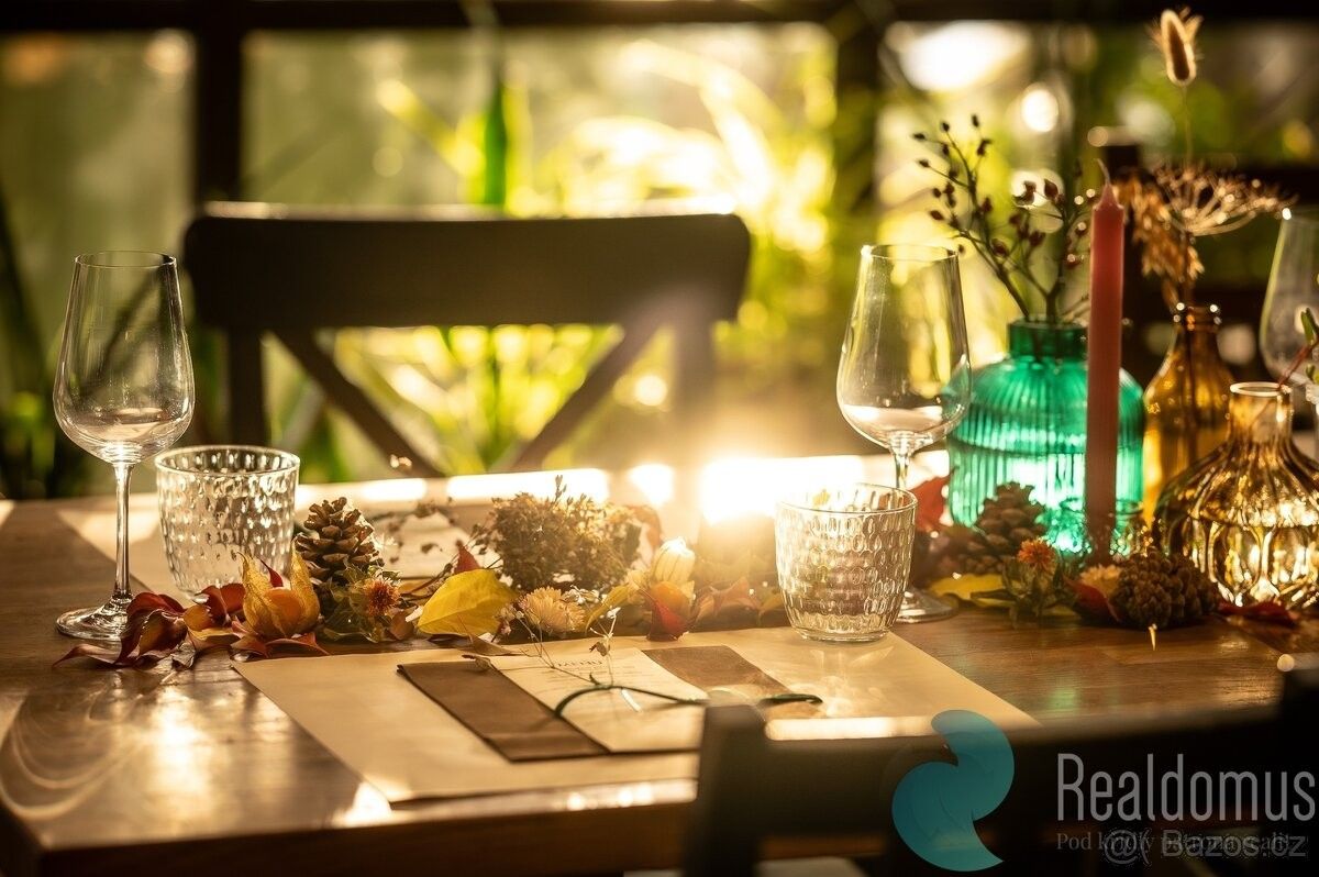 Pronájem restaurace - Protivín, 398 11