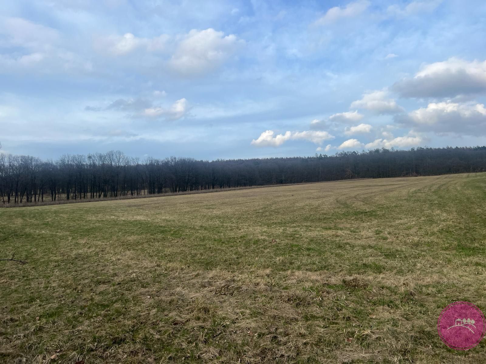 Zemědělské pozemky, Bělkovice-Lašťany, 13 030 m²