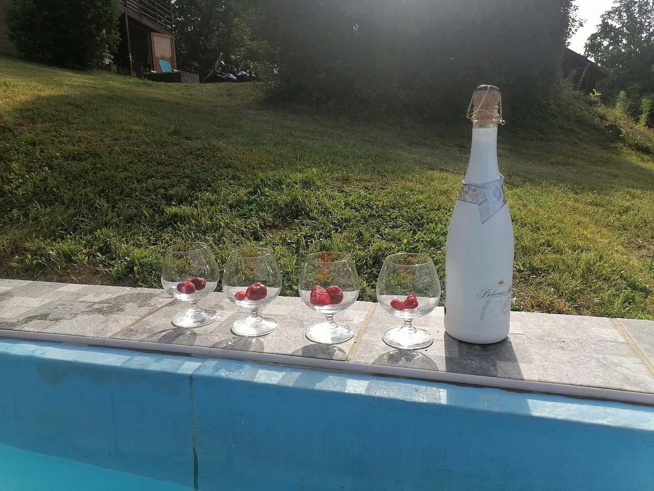 Chata · Vojníkov - Louka nad Otavou, Jihočeský kraj - 3