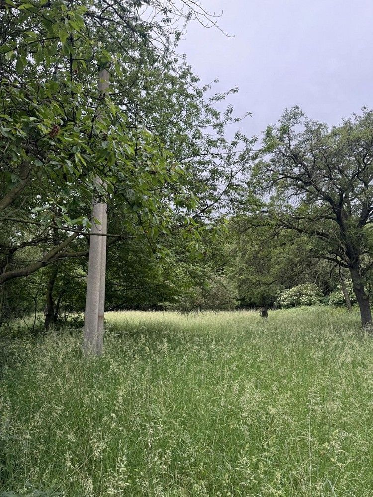 Lesy, Bílina - Blatnice, okres Teplice, Ústecký kraj - 2