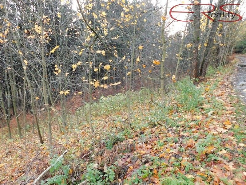 Prodej louka - Lučany nad Nisou - Horní Maxov, okres Jablonec nad Nisou, Liberecký kraj - 5