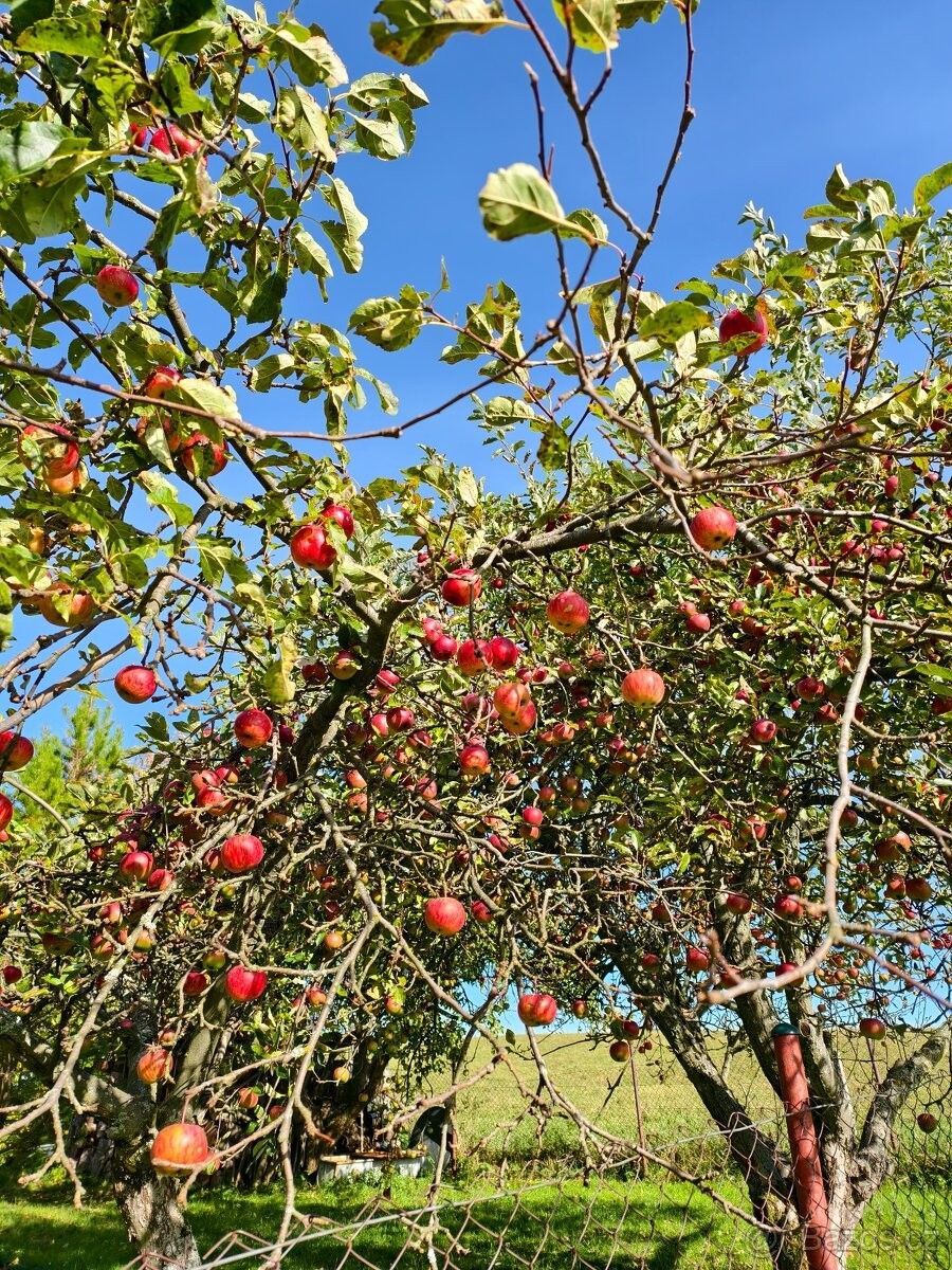 Zahrady, Plzeň, 312 00