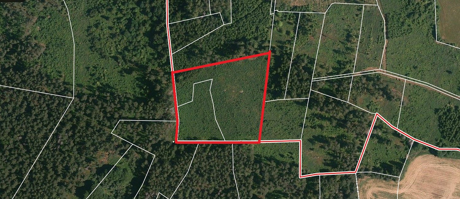 Les · Milejovice, okres Strakonice, Jihočeský kraj - 3
