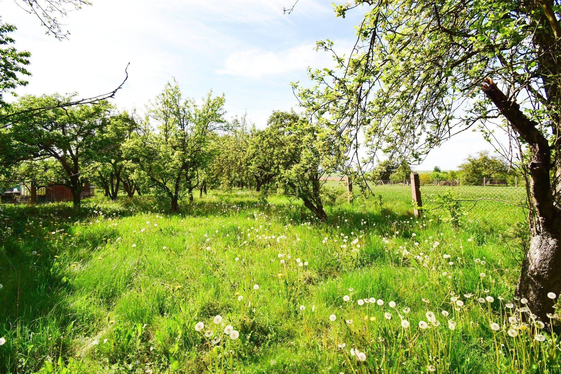 Prodej pozemek pro bydlení - Nádražní 331, Ronov nad Doubravou