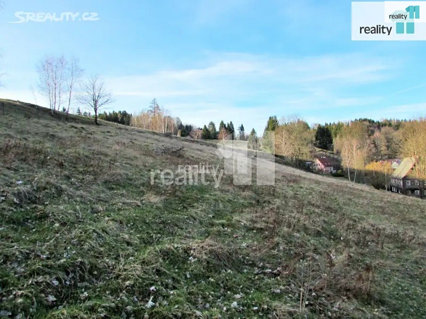 Prodej louka - Dlouhý Důl, Krásná Lípa, 4 262 m²