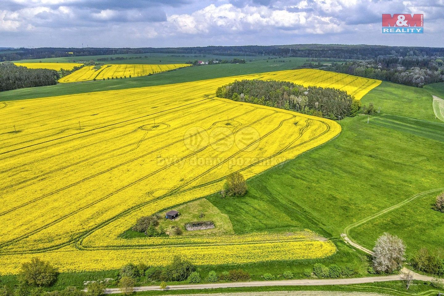 Zemědělský pozemek · Ostrov u Bezdružic - Pláň, okres Plzeň-sever, Plzeňský kraj - 4