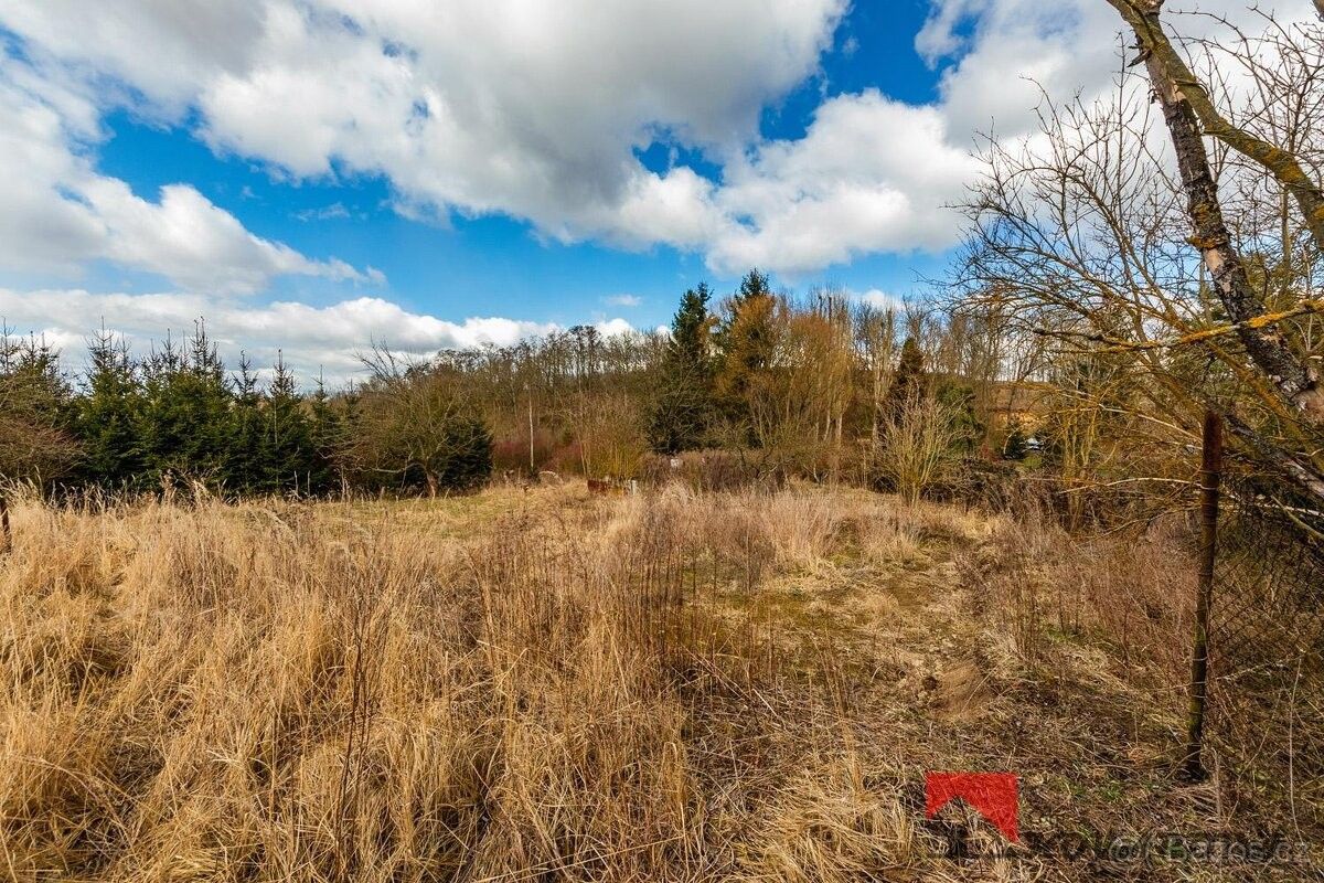 Prodej pozemek pro bydlení - Řepín, 277 33