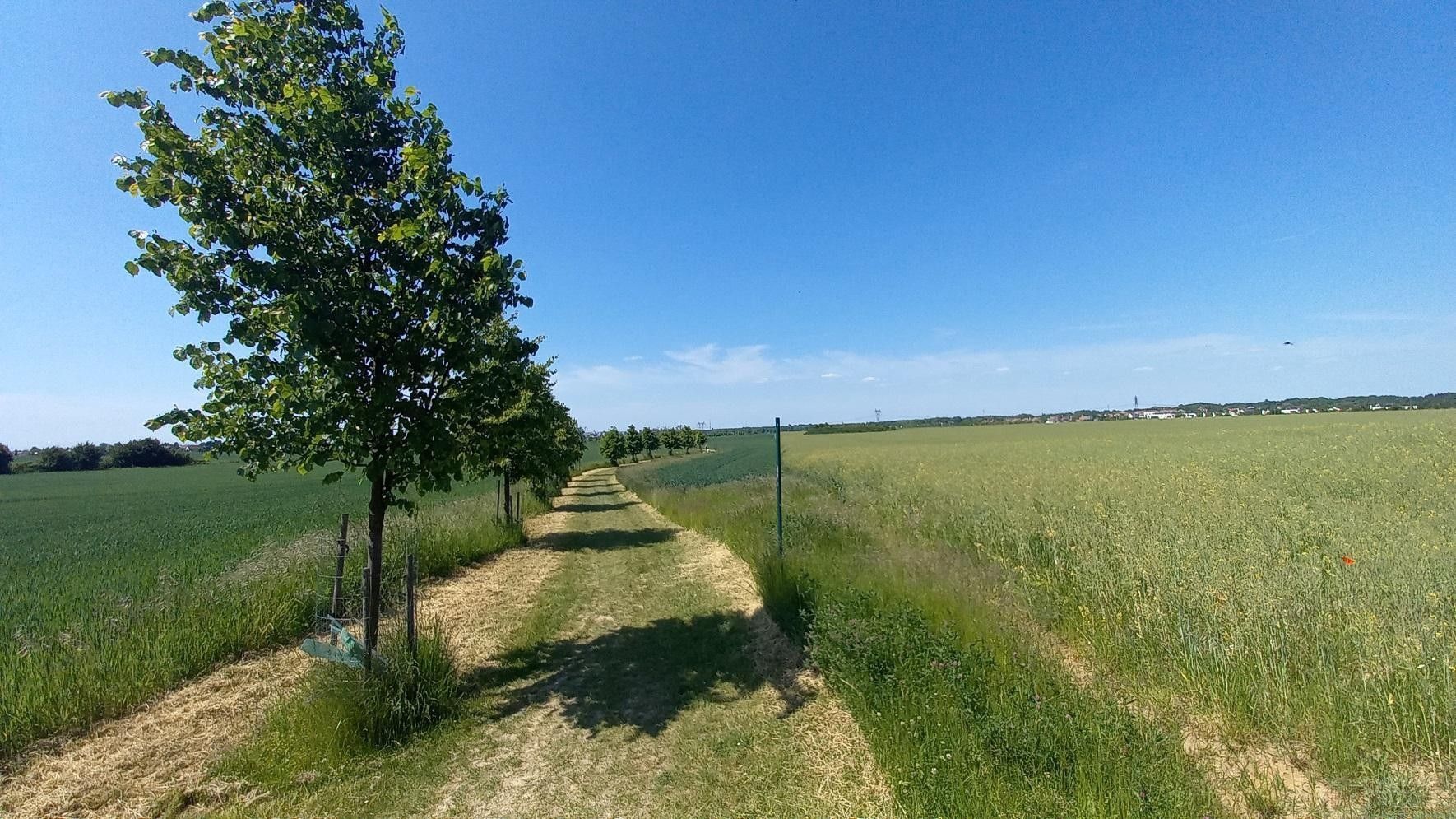 Prodej zemědělský pozemek - Říčanská, Čestlice, 3 118 m² - 5