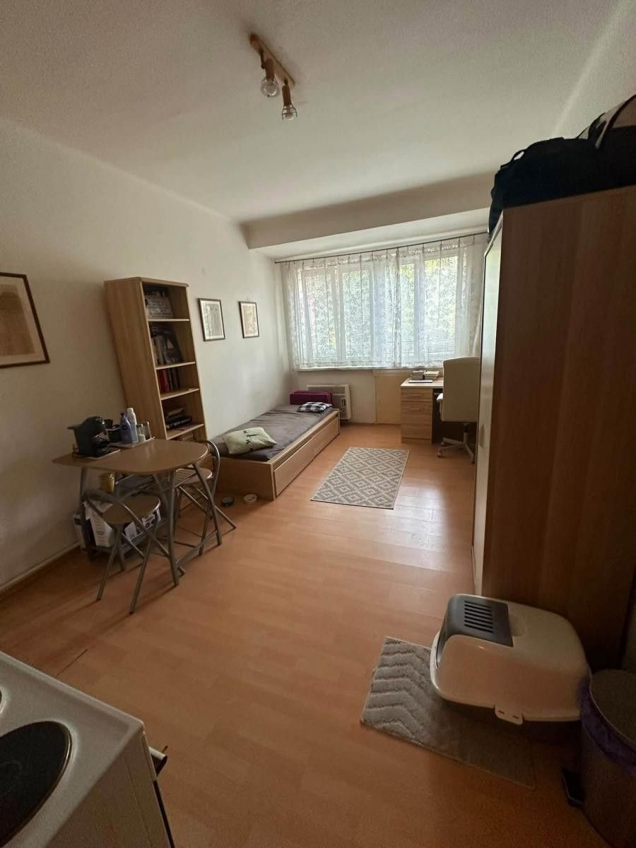 1+kk, Drahobejlova, Praha, 20 m² - 1