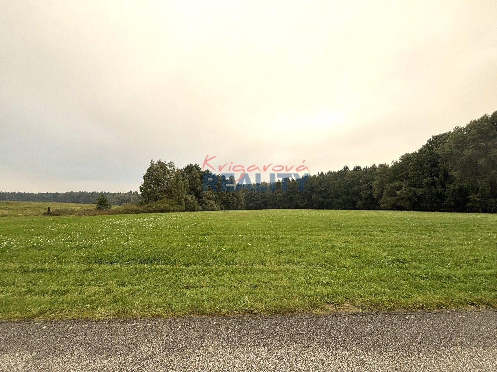 Prodej zemědělský pozemek - Zborov, Ledenice, 14 m²