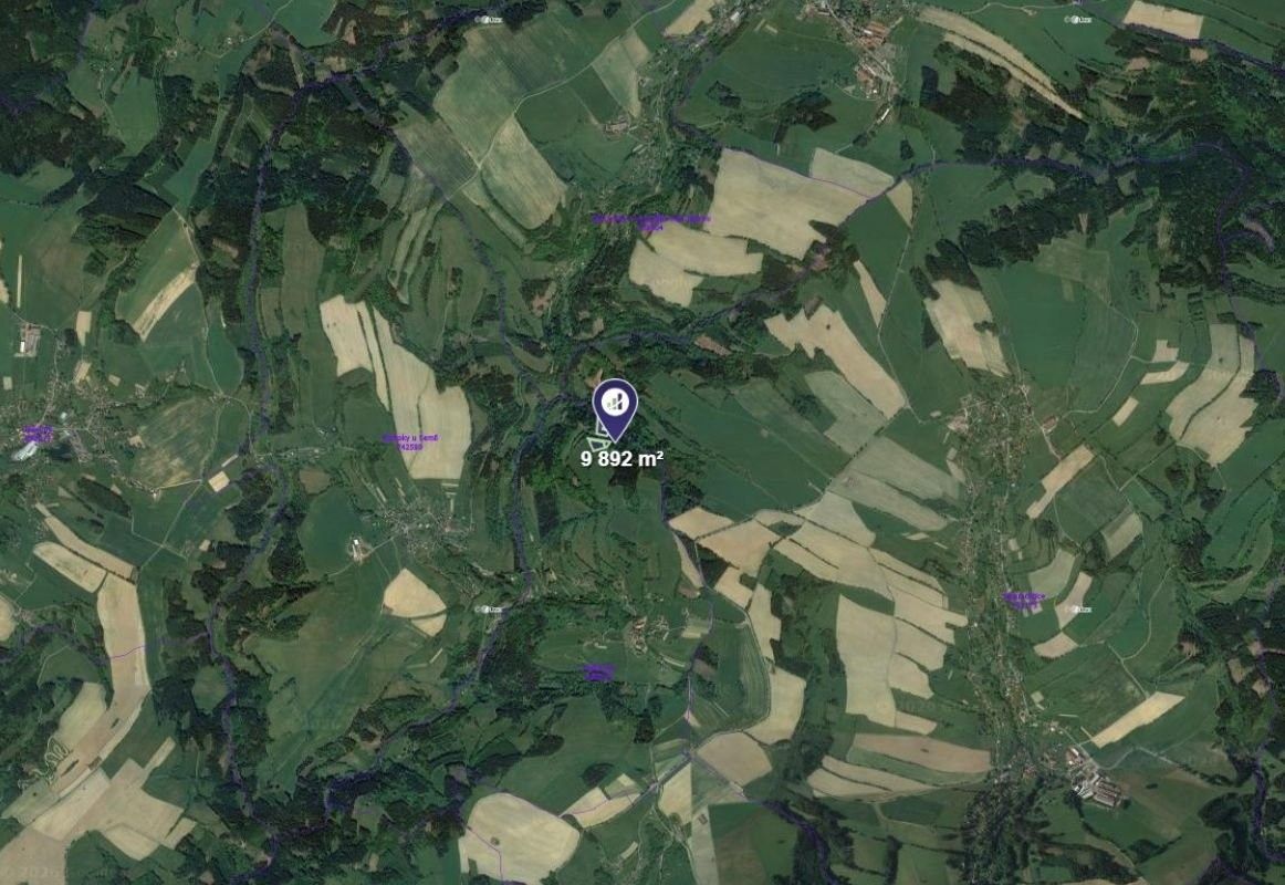 Lesy, Vysoké nad Jizerou - 2