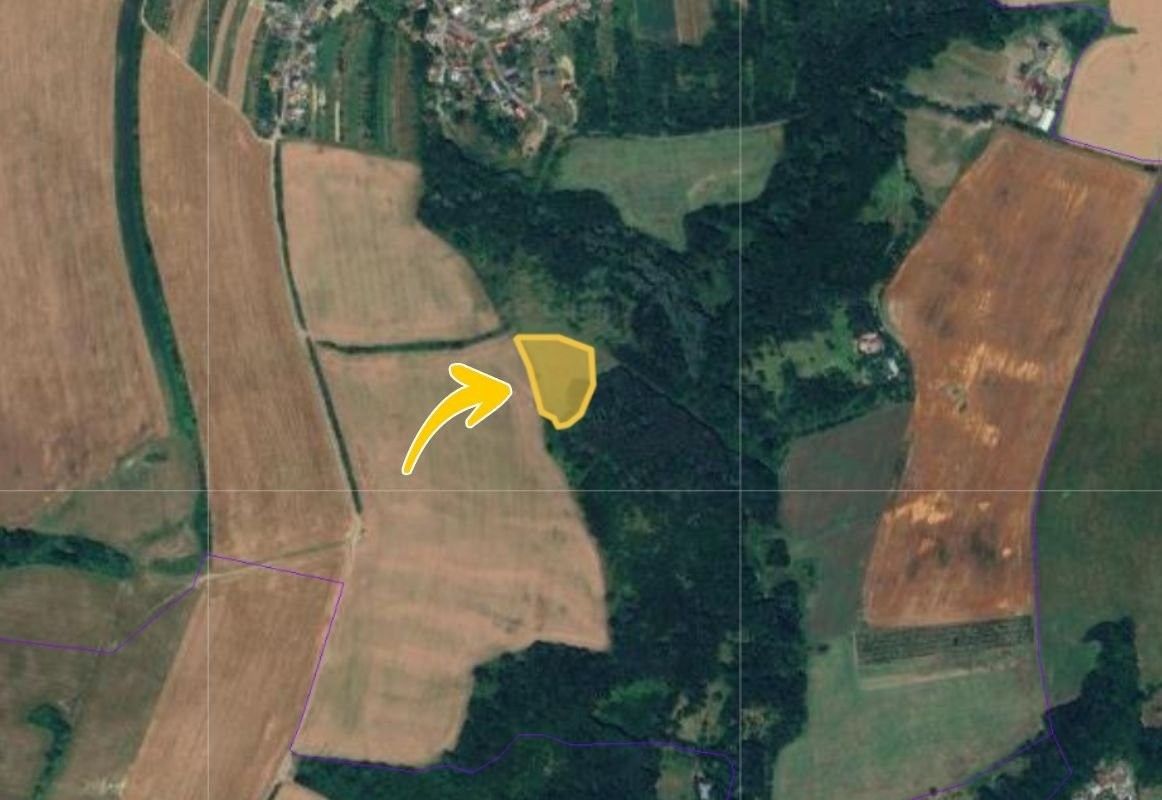 Prodej zemědělský pozemek - Lhota, 10 300 m²