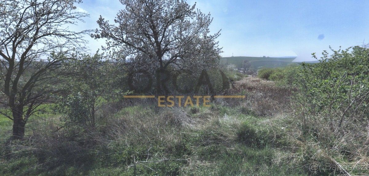 Prodej pozemek - Moravany u Kyjova, 696 50, 1 503 m²