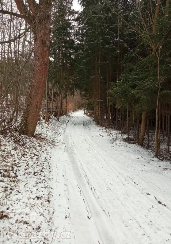 Prodej zemědělský pozemek - Sušice, 4 799 m²